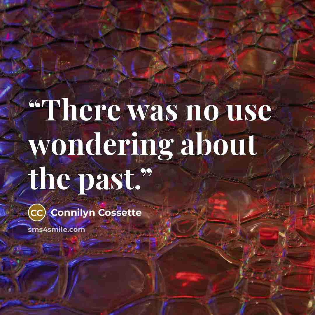 “There was no use wondering about the past.” quote by Connilyn Cossette