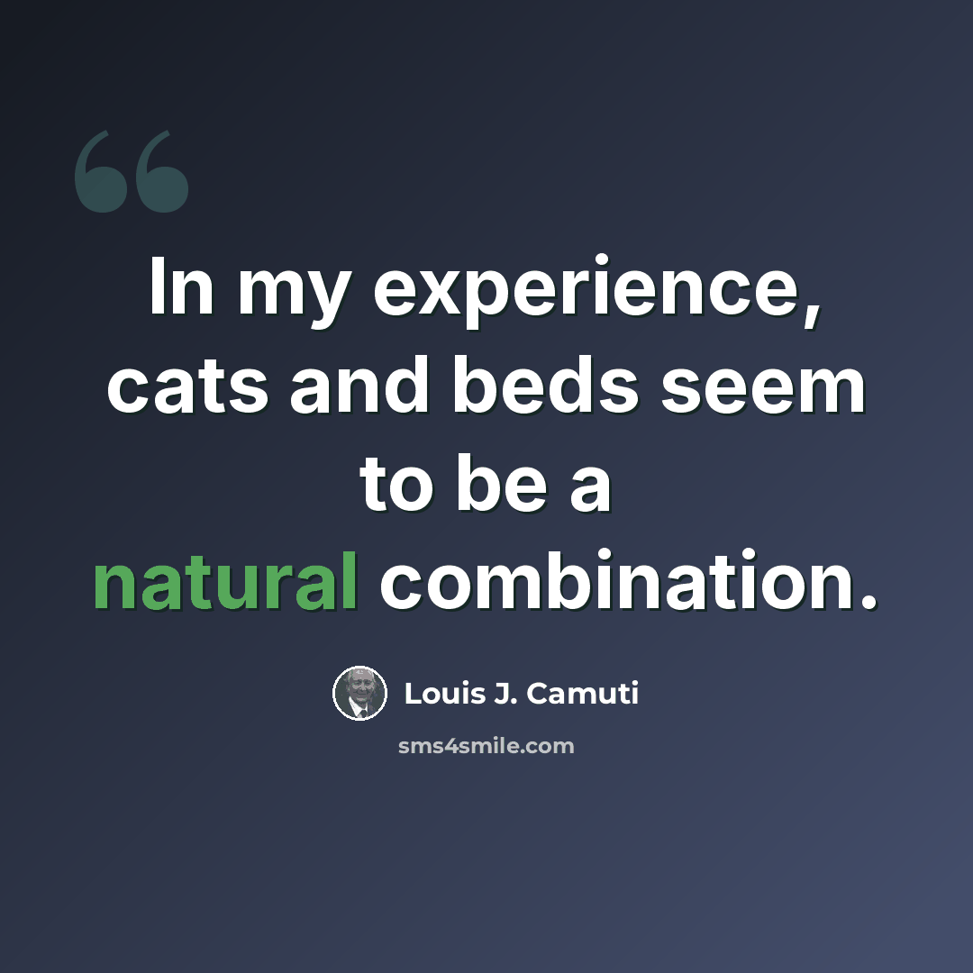 “In my experience, cats and beds seem to be a natural combination.” quote by Louis J. Camuti