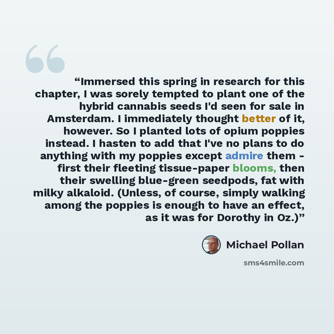 “Immersed this spring in research for this chapter, I was sorely tempted to plant one of the hybrid cannabis seeds I'd seen for sale in Amsterdam. I immediately thought better of it, however. So I planted lots of opium poppies instead. I hasten to add that I've no plans to do anything with my…” quote by Michael Pollan