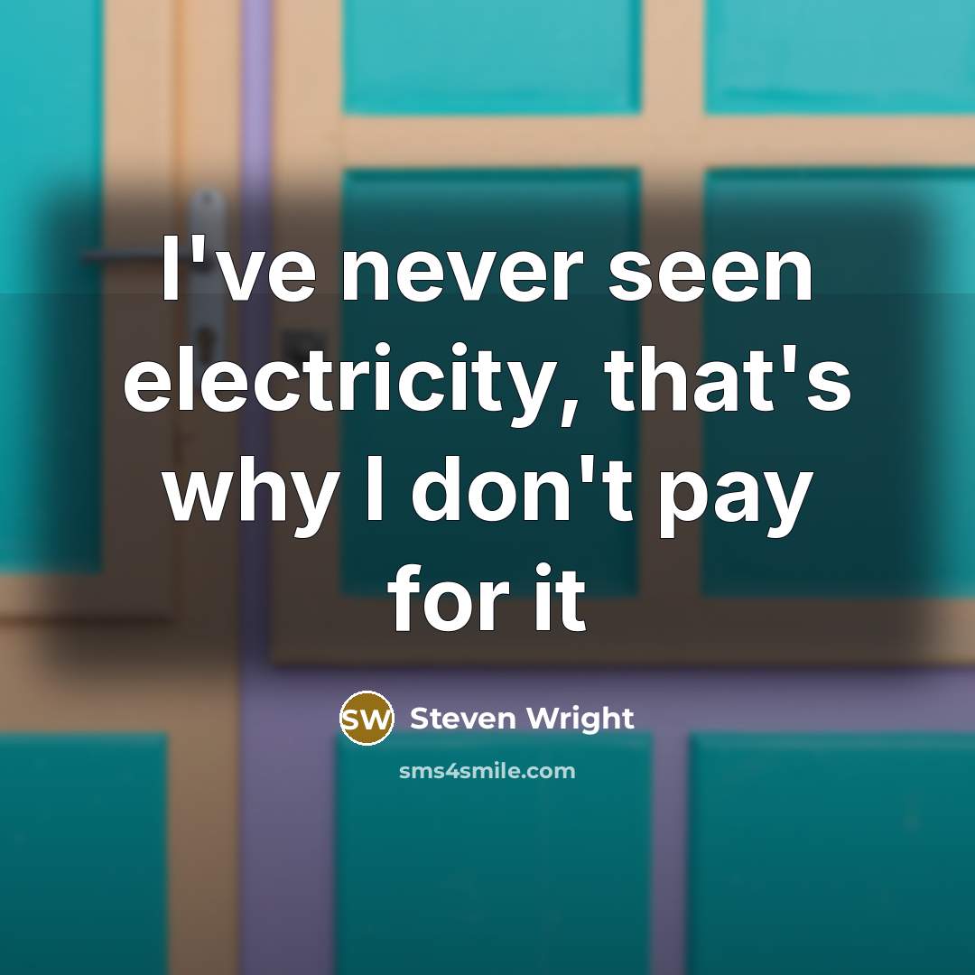 “I've never seen electricity, that's why I don't pay for it” quote by Steven Wright