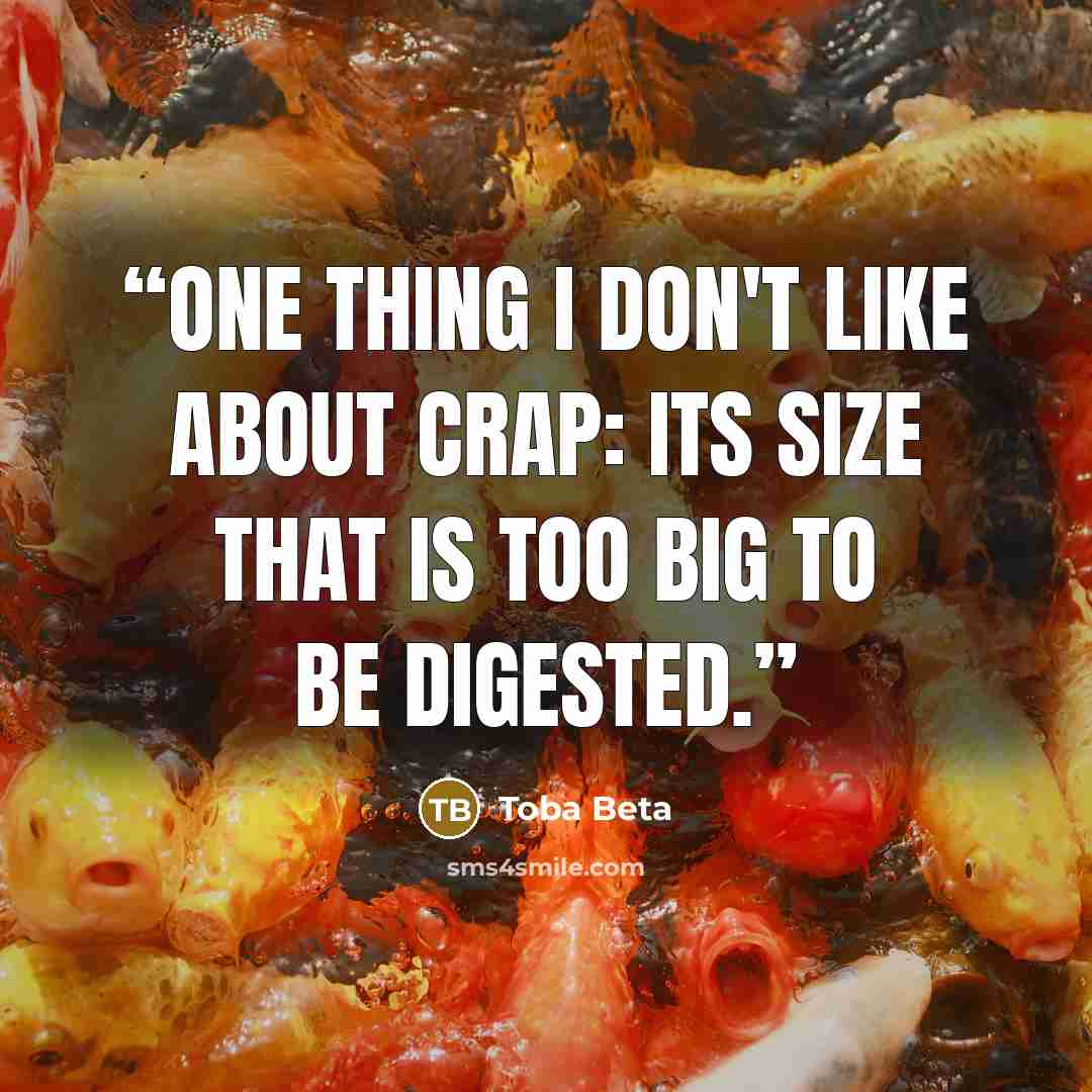 “One thing I don't like about crap: its size that is too big to be digested.” quote by Toba Beta