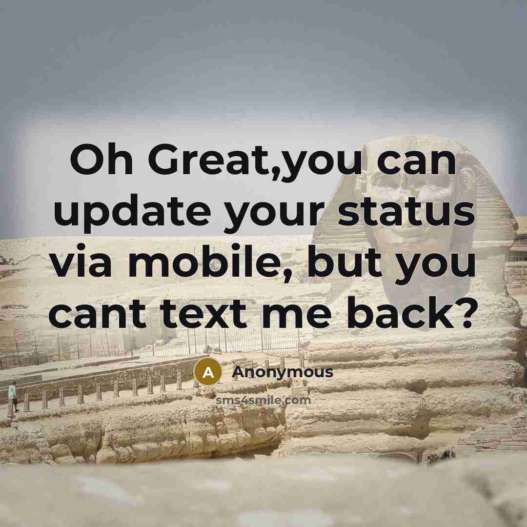 “Oh Great,you can update your status via mobile, but you cant text me back?” quote by Anonymous