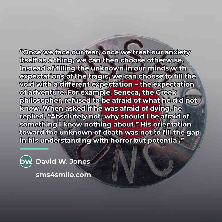 “Once we face our fear, once we treat our anxiety itself as a thing, we can then choose otherwise. Instead of filling the unknown in our minds with expectations of the tragic, we can choose to fill the void with a different expectation – the expectation of adventure. For example, Seneca, the Greek…” quote by David W. Jones