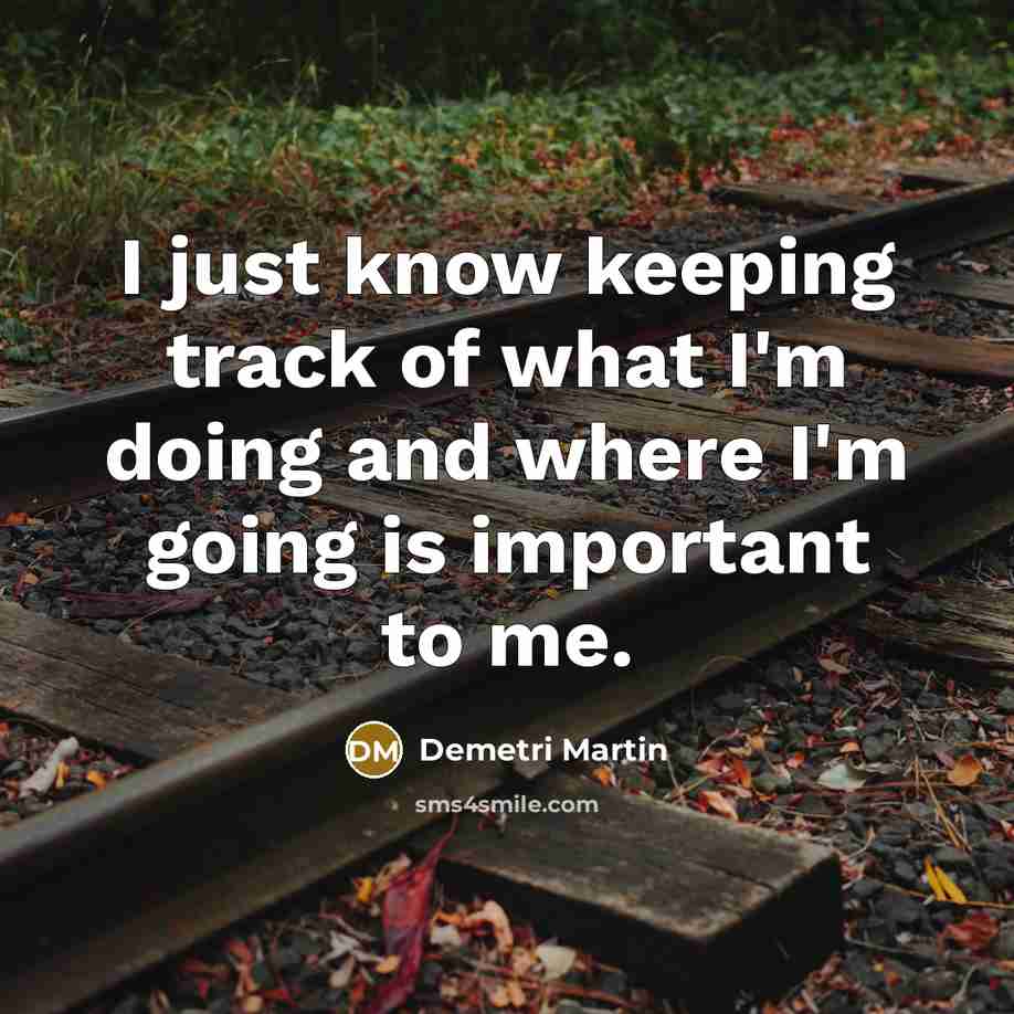 “I just know keeping track of what I'm doing and where I'm going is important to me.” quote by Demetri Martin