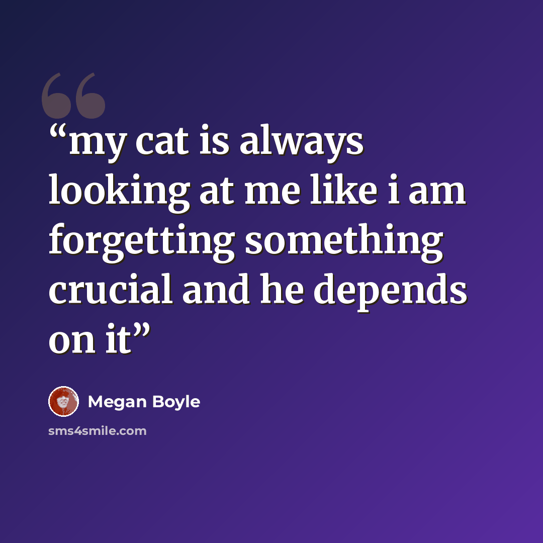 “my cat is always looking at me like i am forgetting something crucial and he depends on it” quote by Megan Boyle