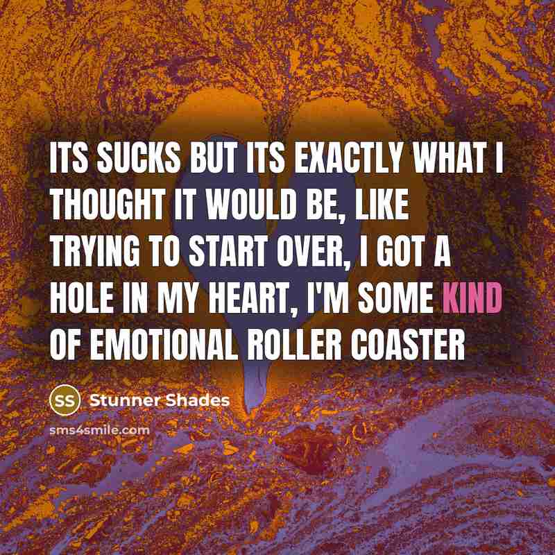 “Its sucks but its exactly what I thought it would be, like trying to start over, I got a hole in my heart, I'm some kind of emotional roller coaster” quote by Stunner Shades