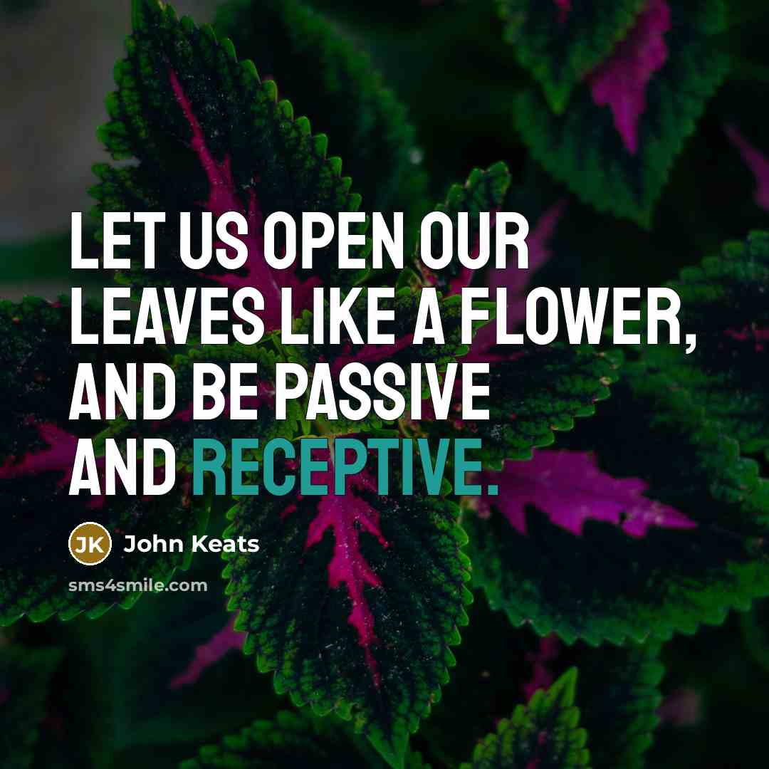 “Let us open our leaves like a flower, and be passive and receptive.” quote by John Keats