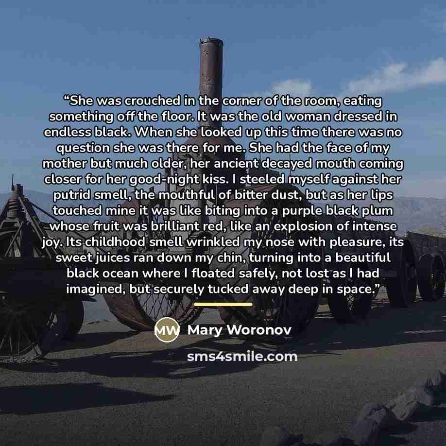 “She was crouched in the corner of the room, eating something off the floor. It was the old woman dressed in endless black. When she looked up this time there was no question she was there for me. She had the face of my mother but much older, her ancient decayed mouth coming closer for her…” quote by Mary Woronov