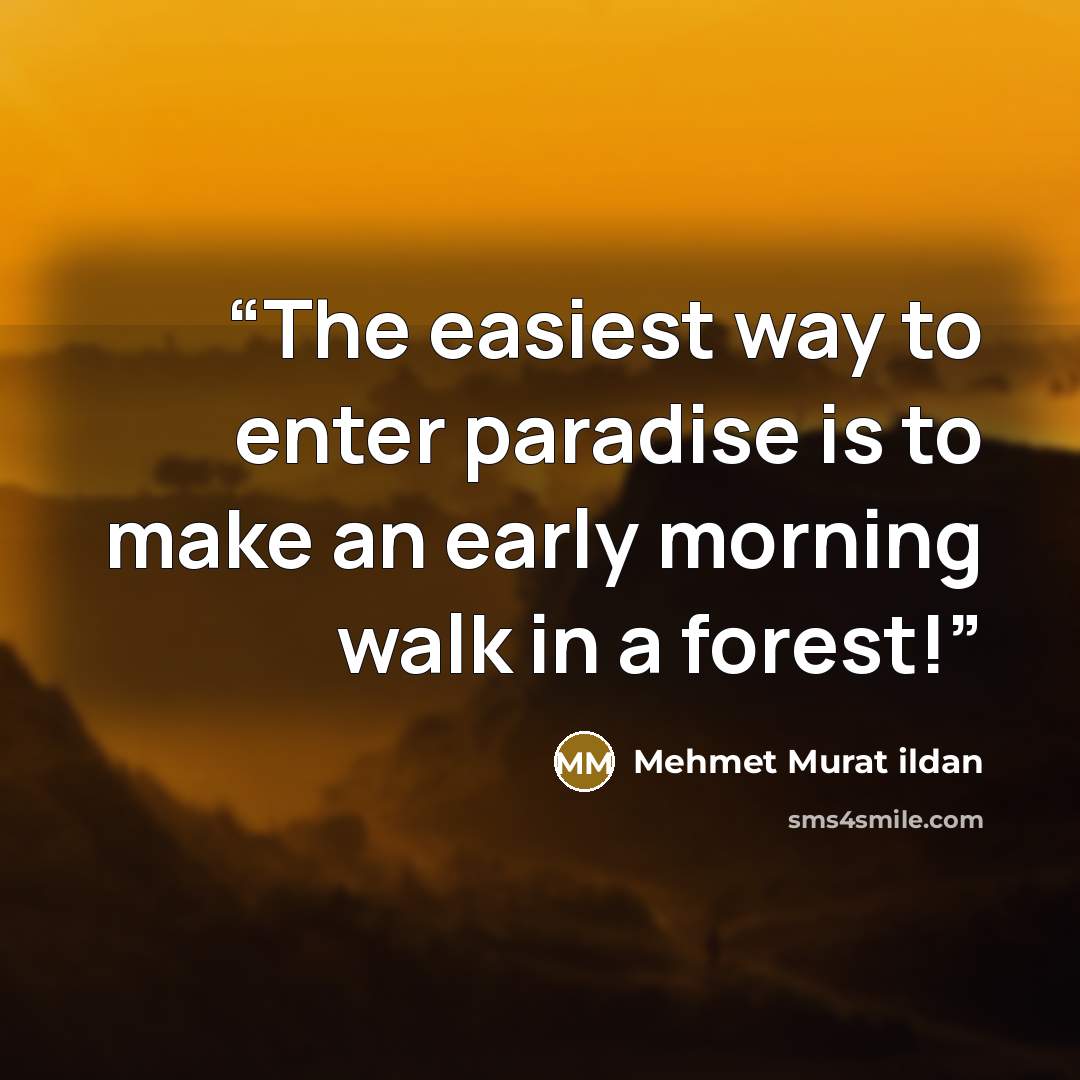 “The easiest way to enter paradise is to make an early morning walk in a forest!” quote by Mehmet Murat ildan