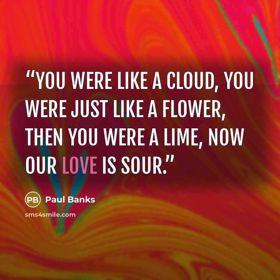 “You were like a cloud, you were just like a flower, then you were a lime, now our love is sour.” quote by Paul Banks