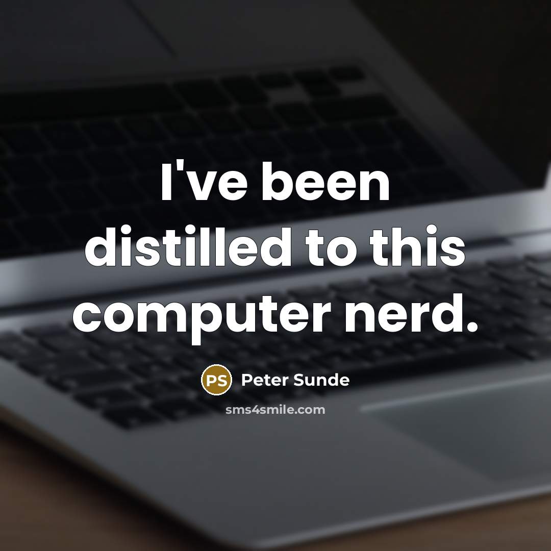 “I've been distilled to this computer nerd.” quote by Peter Sunde
