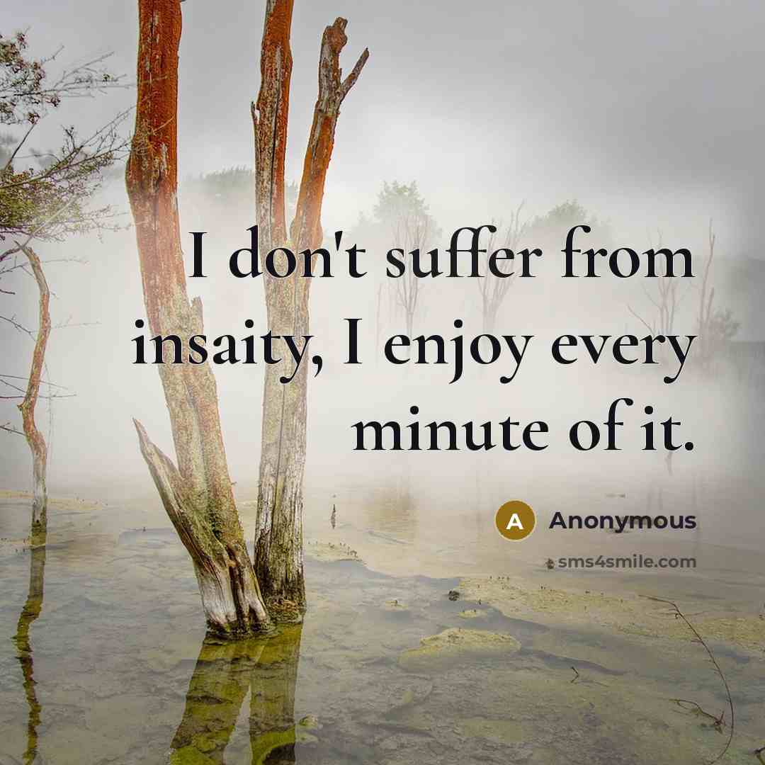 “I don't suffer from insaity, I enjoy every minute of it.” quote by Anonymous
