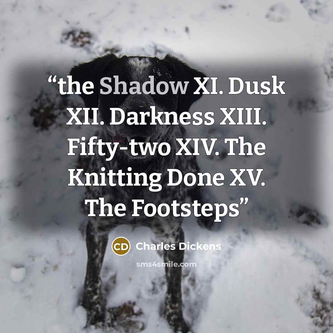 “the Shadow XI. Dusk XII. Darkness XIII. Fifty-two XIV. The Knitting Done XV. The Footsteps” quote by Charles Dickens