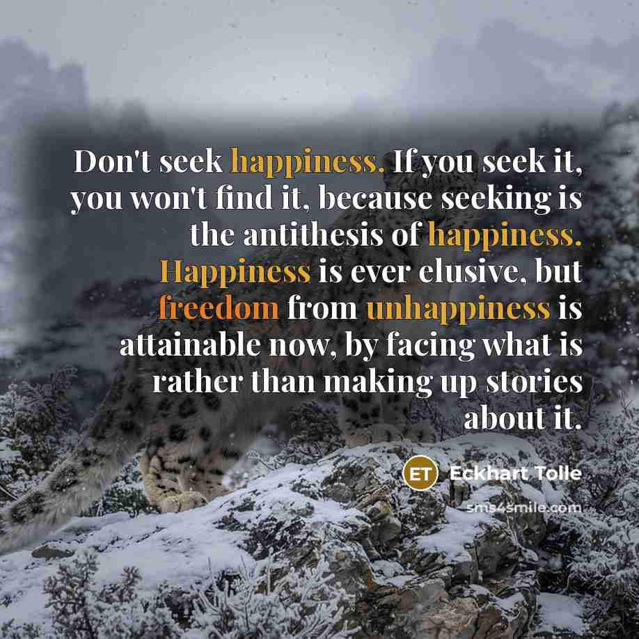 “Don't seek happiness. If you seek it, you won't find it, because seeking is the antithesis of happiness. Happiness is ever elusive, but freedom from unhappiness is attainable now, by facing what is rather than making up stories about it.” quote by Eckhart Tolle