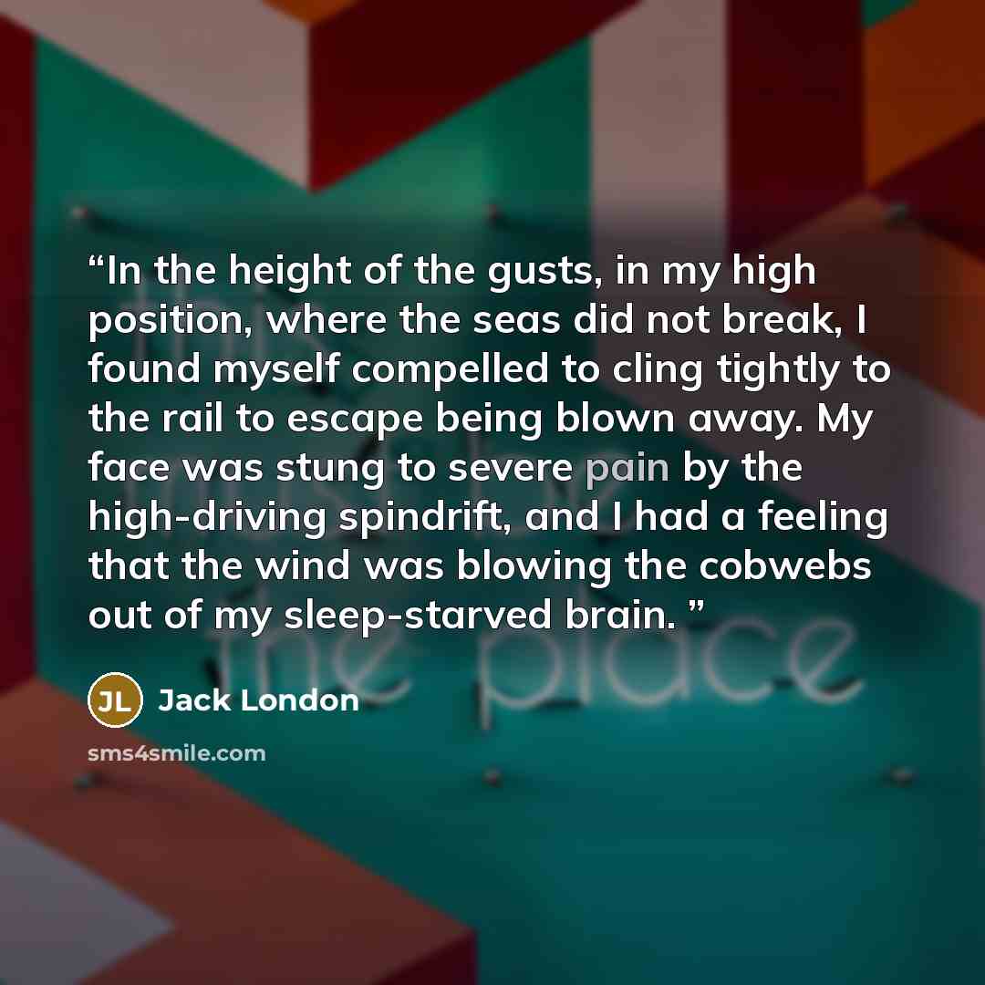 “In the height of the gusts, in my high position, where the seas did not break, I found myself compelled to cling tightly to the rail to escape being blown away. My face was stung to severe pain by the high-driving spindrift, and I had a feeling that the wind was blowing the cobwebs out of my…” quote by Jack London