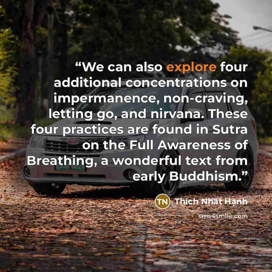 “We can also explore four additional concentrations on impermanence, non-craving, letting go, and nirvana. These four practices are found in Sutra on the Full Awareness of Breathing, a wonderful text from early Buddhism.” quote by Thich Nhat Hanh