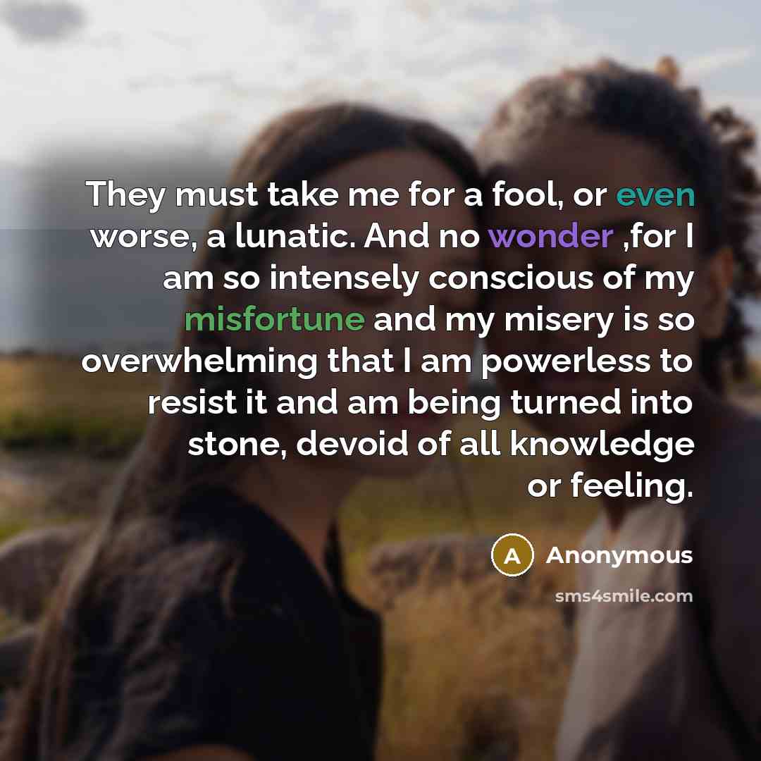 “They must take me for a fool, or even worse, a lunatic. And no wonder ,for I am so intensely conscious of my misfortune and my misery is so overwhelming that I am powerless to resist it and am being turned into stone, devoid of all knowledge or feeling.” quote by Anonymous