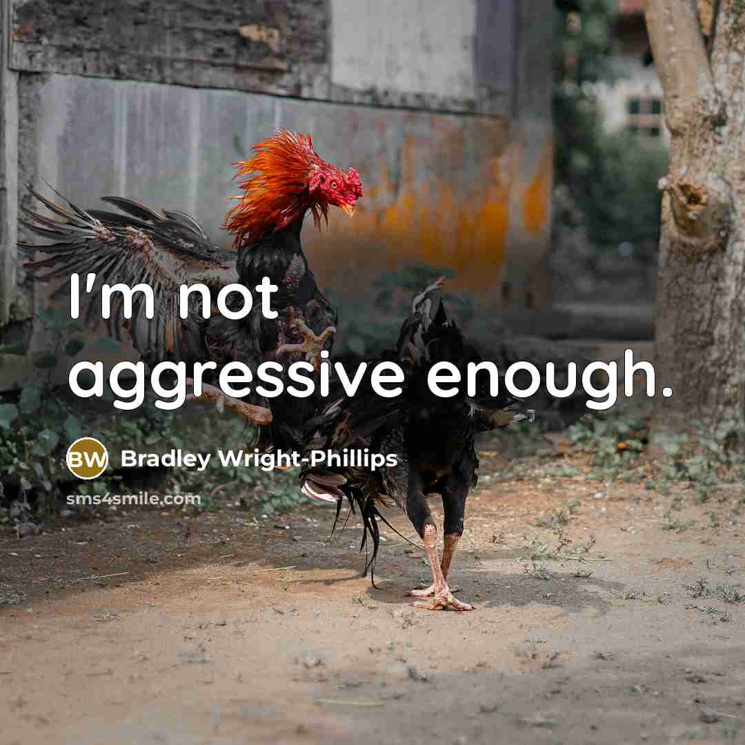 “I'm not aggressive enough.” quote by Bradley Wright-Phillips