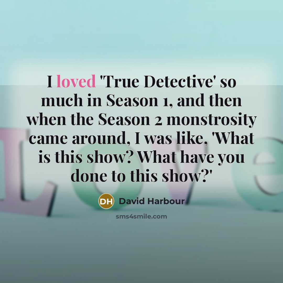 “I loved 'True Detective' so much in Season 1, and then when the Season 2 monstrosity came around, I was like, 'What is this show? What have you done to this show?'” quote by David Harbour