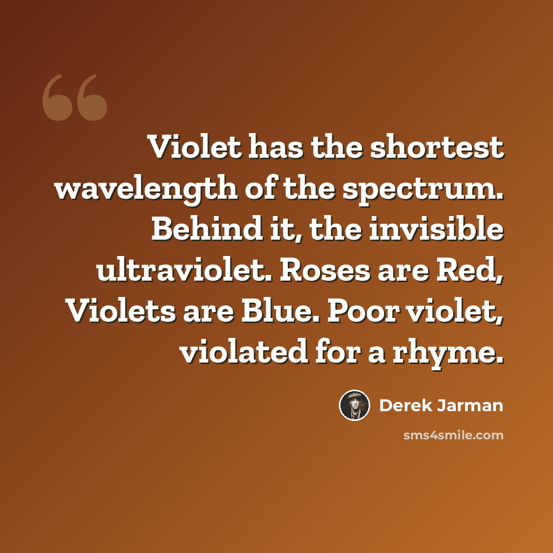 “Violet has the shortest wavelength of the spectrum. Behind it, the invisible ultraviolet. Roses are Red, Violets are Blue. Poor violet, violated for a rhyme.” quote by Derek Jarman