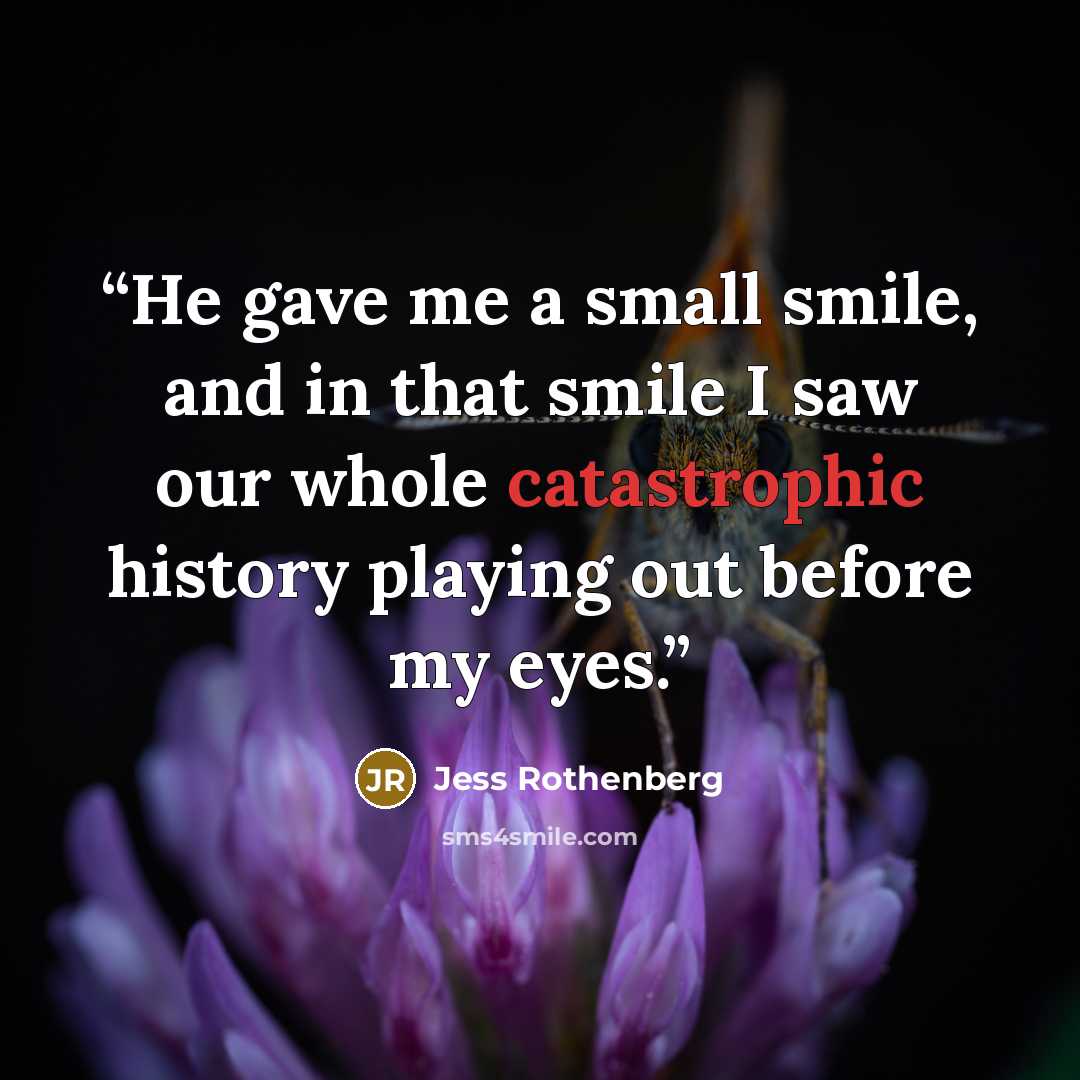 “He gave me a small smile, and in that smile I saw our whole catastrophic history playing out before my eyes.” quote by Jess Rothenberg