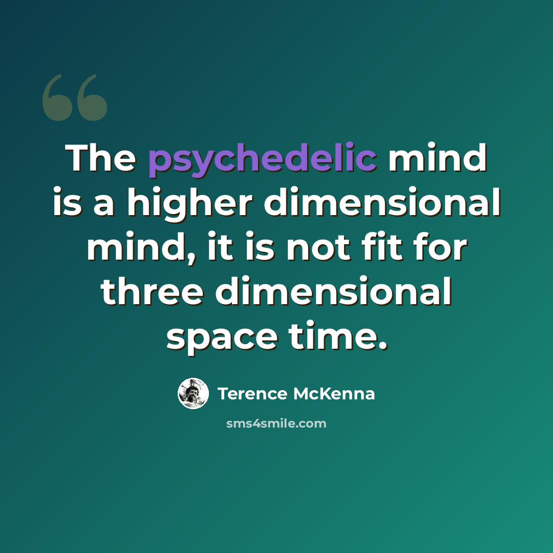 “The psychedelic mind is a higher dimensional mind, it is not fit for three dimensional space time.” quote by Terence McKenna