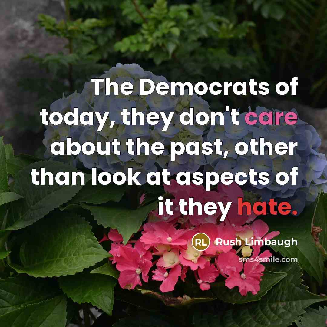 “The Democrats of today, they don't care about the past, other than look at aspects of it they hate.” quote by Rush Limbaugh