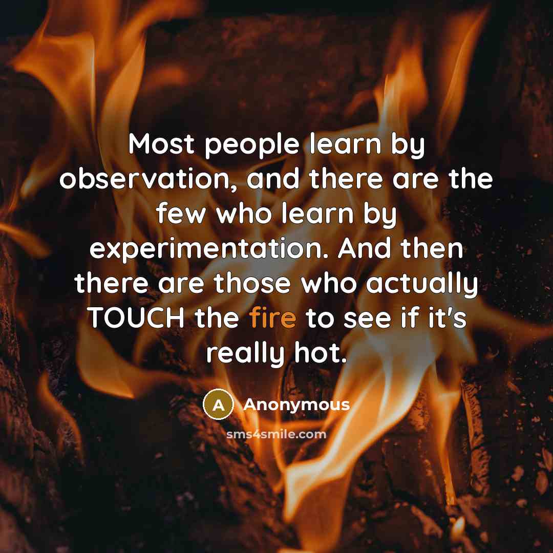 “Most people learn by observation, and there are the few who learn by experimentation. And then there are those who actually TOUCH the fire to see if it's really hot.” quote by Anonymous