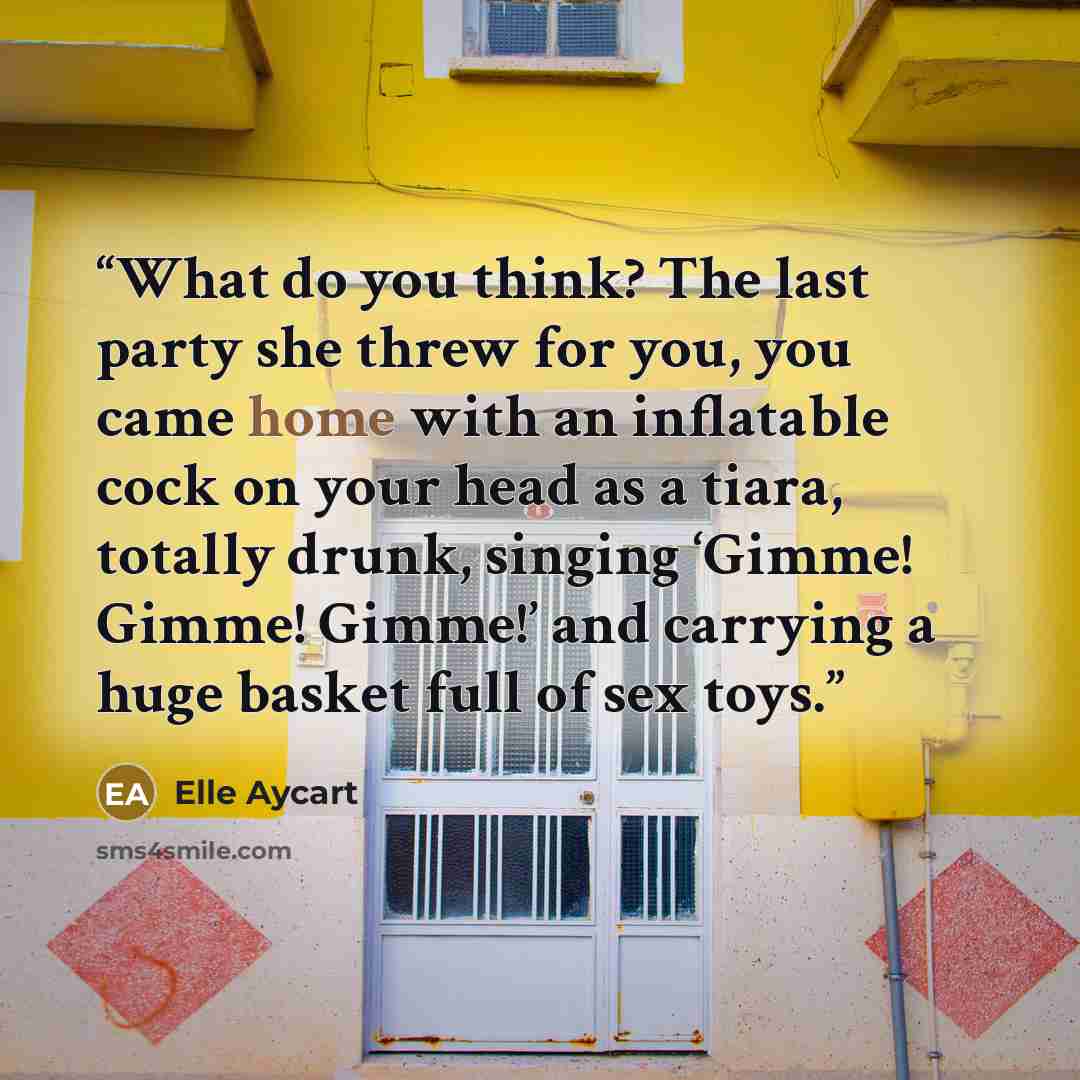 “What do you think? The last party she threw for you, you came home with an inflatable cock on your head as a tiara, totally drunk, singing ‘Gimme! Gimme! Gimme!’ and carrying a huge basket full of sex toys.” quote by Elle Aycart