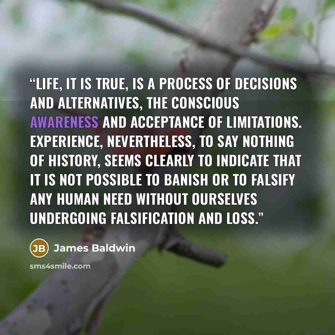 “Life, it is true, is a process of decisions and alternatives, the conscious awareness and acceptance of limitations. Experience, nevertheless, to say nothing of history, seems clearly to indicate that it is not possible to banish or to falsify any human need without ourselves undergoing…” quote by James Baldwin
