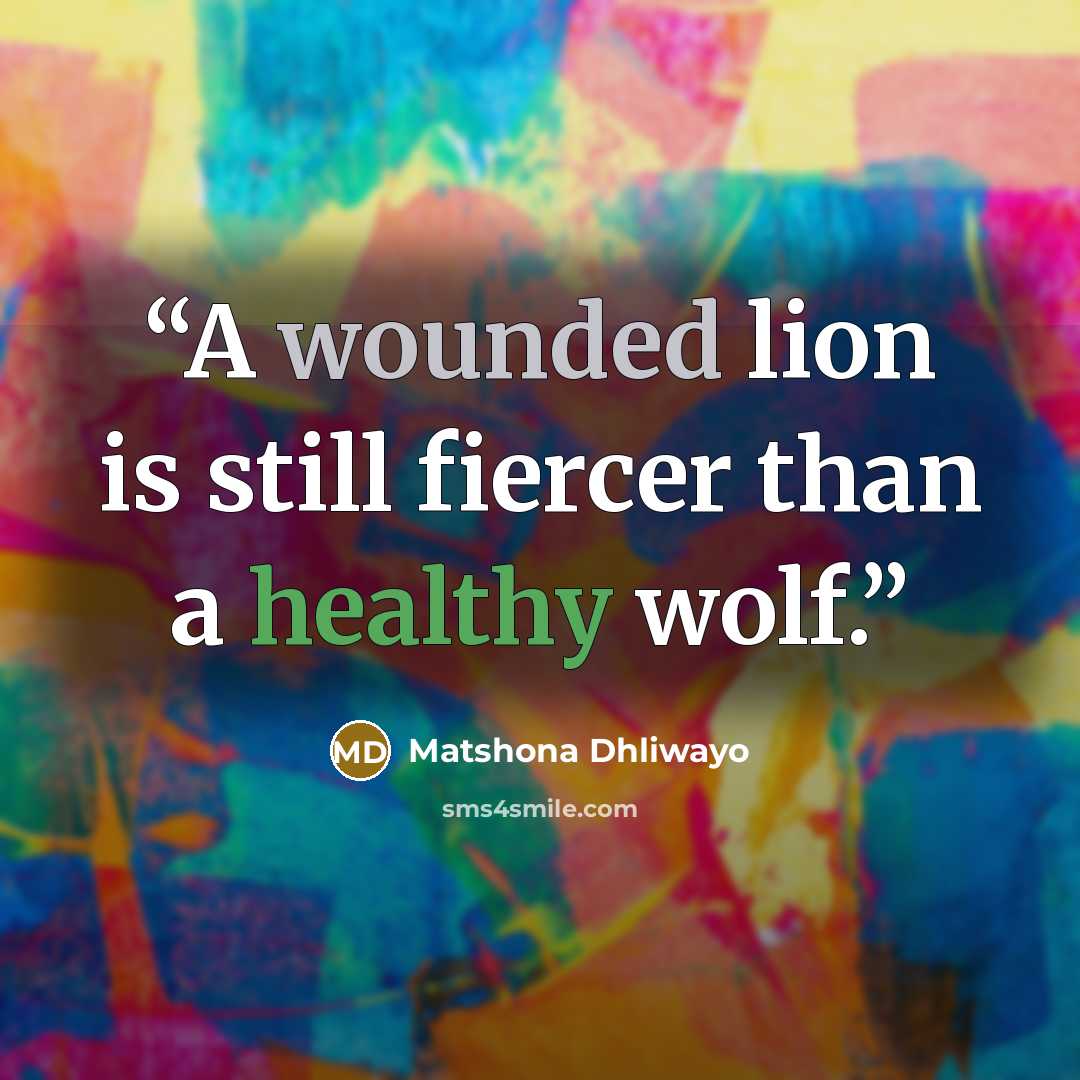 “A wounded lion is still fiercer than a healthy wolf.” quote by Matshona Dhliwayo