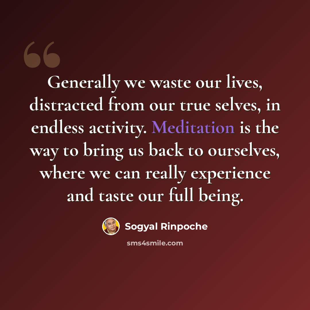 “Generally we waste our lives, distracted from our true selves, in endless activity. Meditation is the way to bring us back to ourselves, where we can really experience and taste our full being.” quote by Sogyal Rinpoche