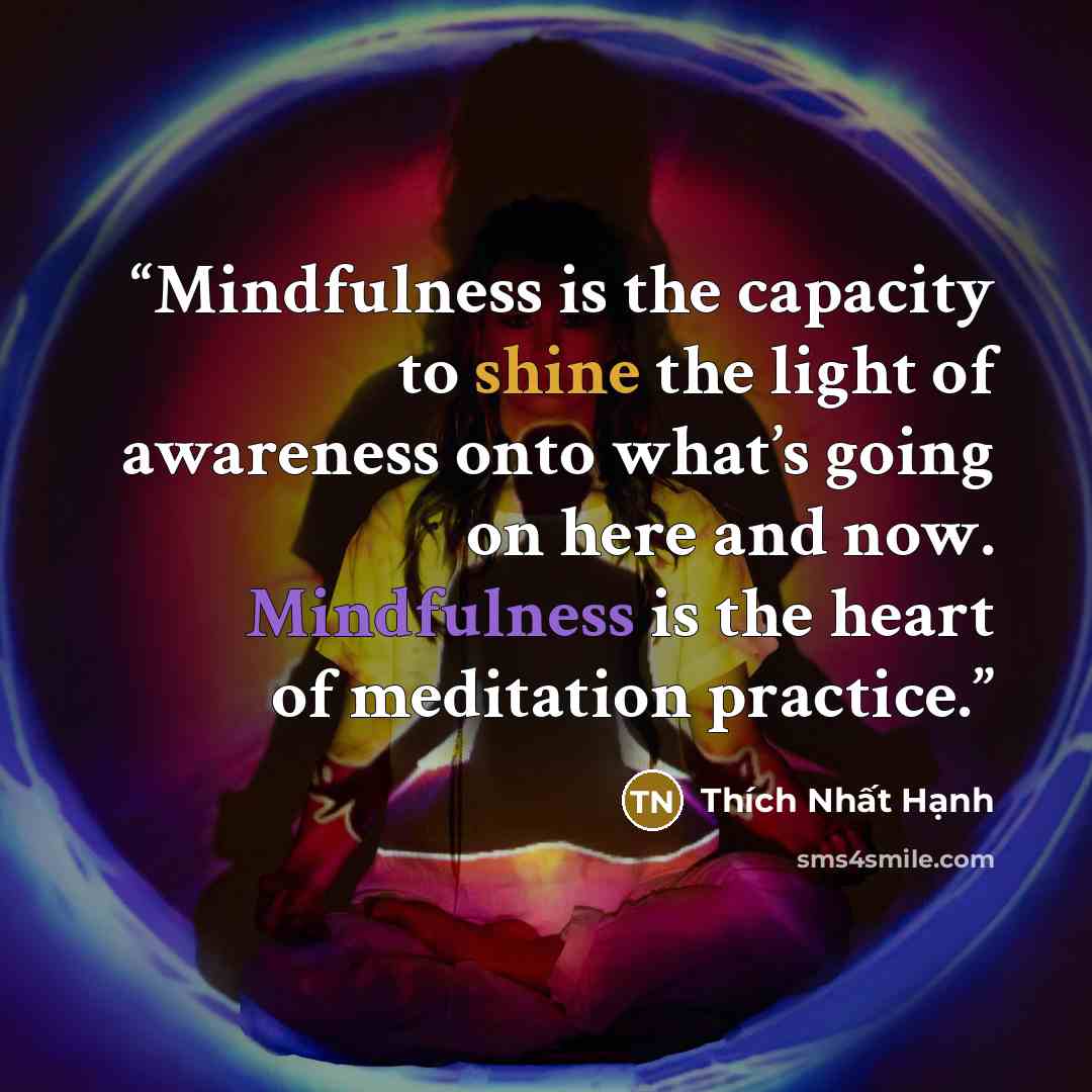 “Mindfulness is the capacity to shine the light of awareness onto what’s going on here and now. Mindfulness is the heart of meditation practice.” quote by Thích Nhất Hạnh