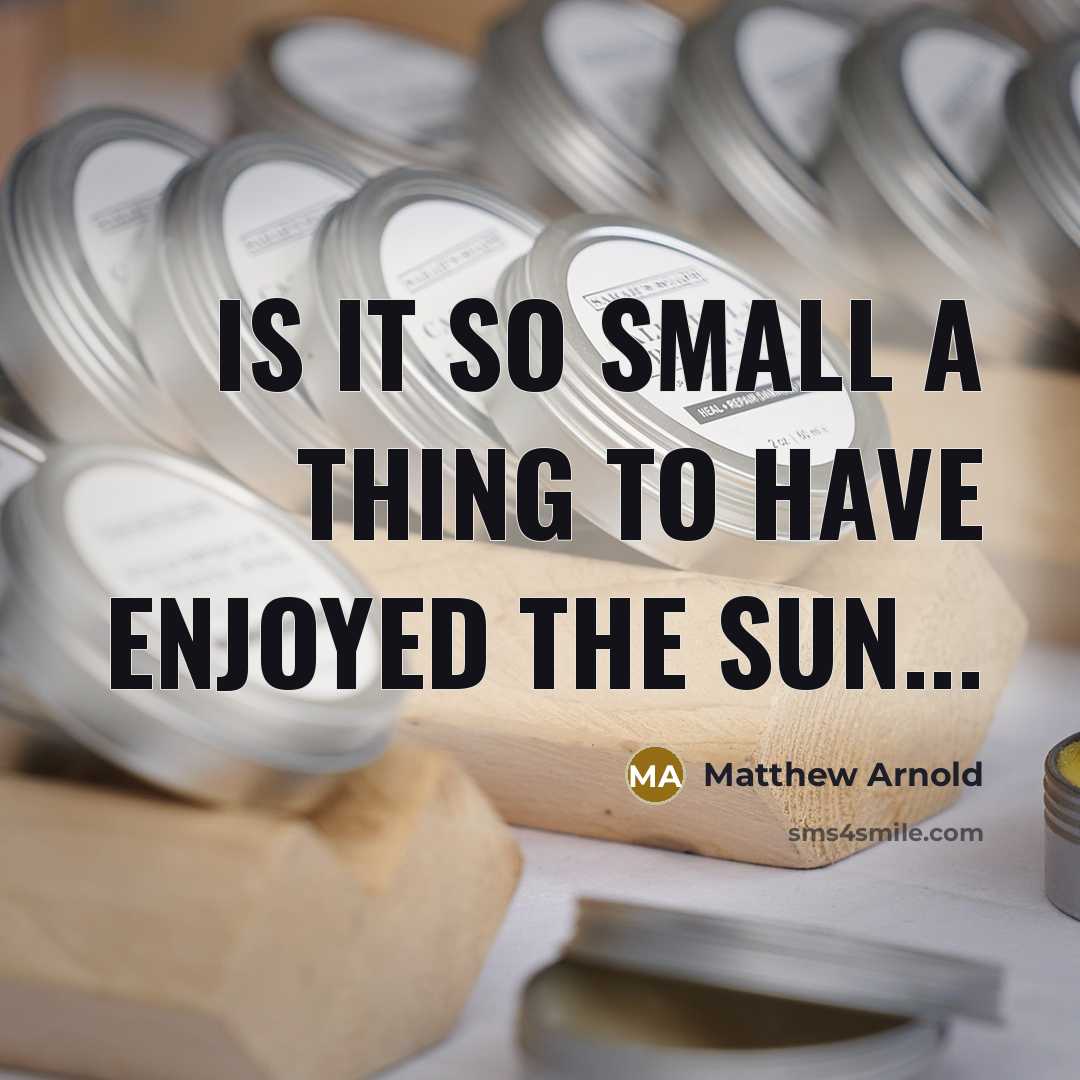 “Is it so small a thing To have enjoyed the sun...” quote by Matthew Arnold