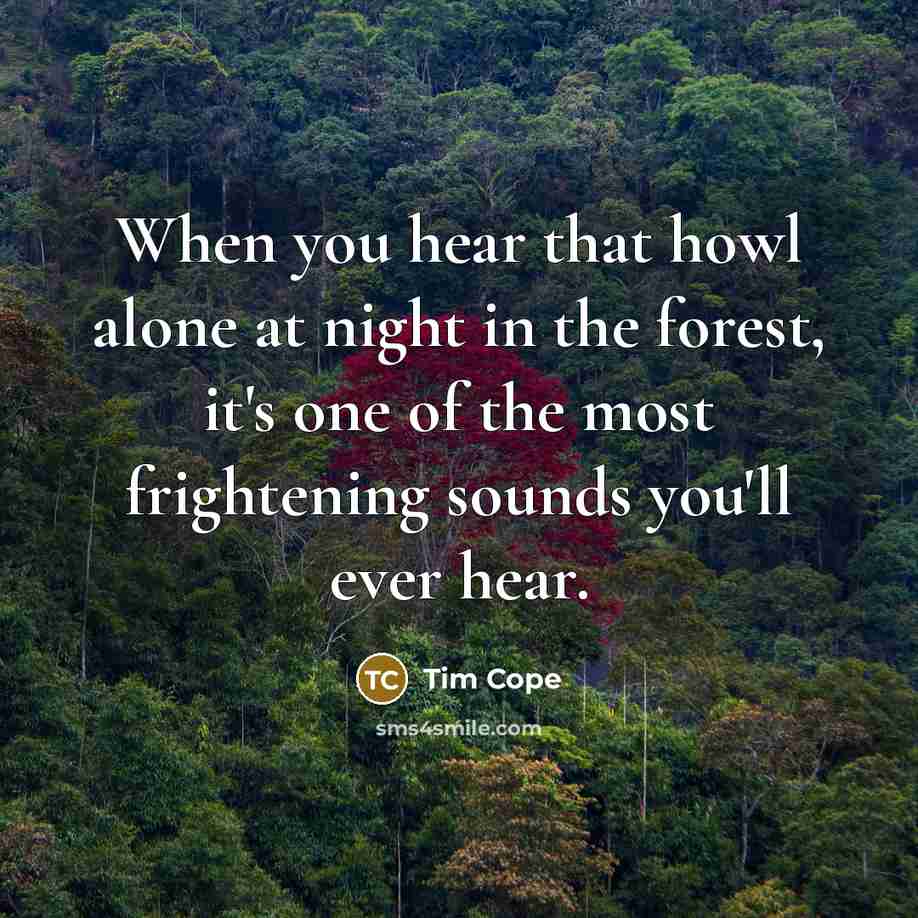 “When you hear that howl alone at night in the forest, it's one of the most frightening sounds you'll ever hear.” quote by Tim Cope