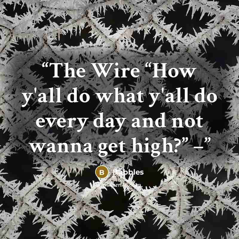 “The Wire “How y'all do what y'all do every day and not wanna get high?” –” quote by Bubbles