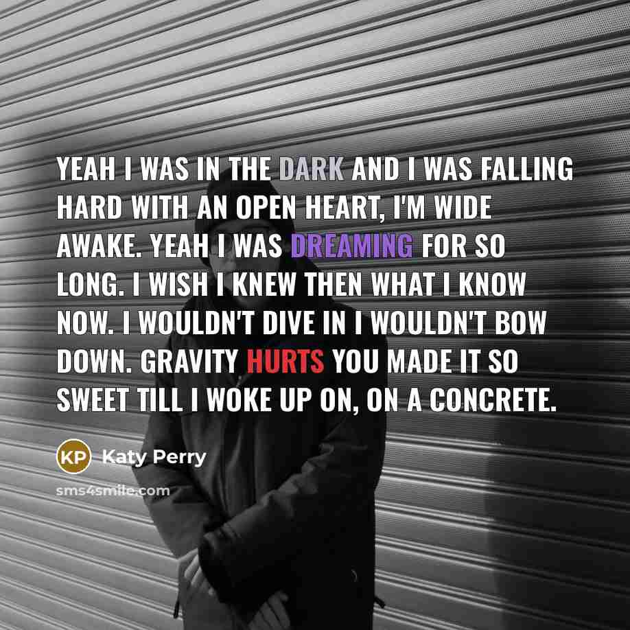 “Yeah I was in the dark and I was falling hard with an open heart, I'm wide awake. Yeah I was dreaming for so long. I wish I knew then what I know now. I wouldn't dive in I wouldn't bow down. Gravity hurts you made it so sweet till I woke up on, on a concrete.” quote by Katy Perry