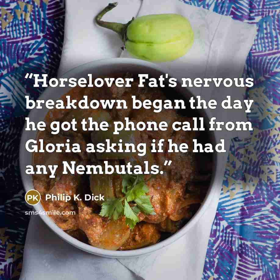 “Horselover Fat's nervous breakdown began the day he got the phone call from Gloria asking if he had any Nembutals.” quote by Philip K. Dick