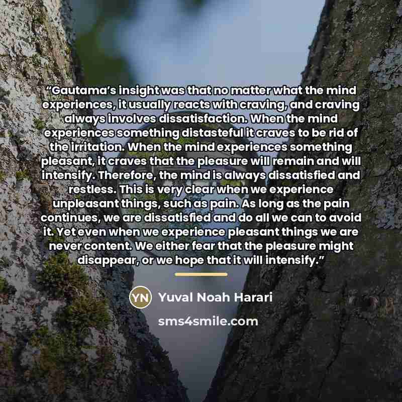 “Gautama’s insight was that no matter what the mind experiences, it usually reacts with craving, and craving always involves dissatisfaction. When the mind experiences something distasteful it craves to be rid of the irritation. When the mind experiences something pleasant, it craves that the…” quote by Yuval Noah Harari