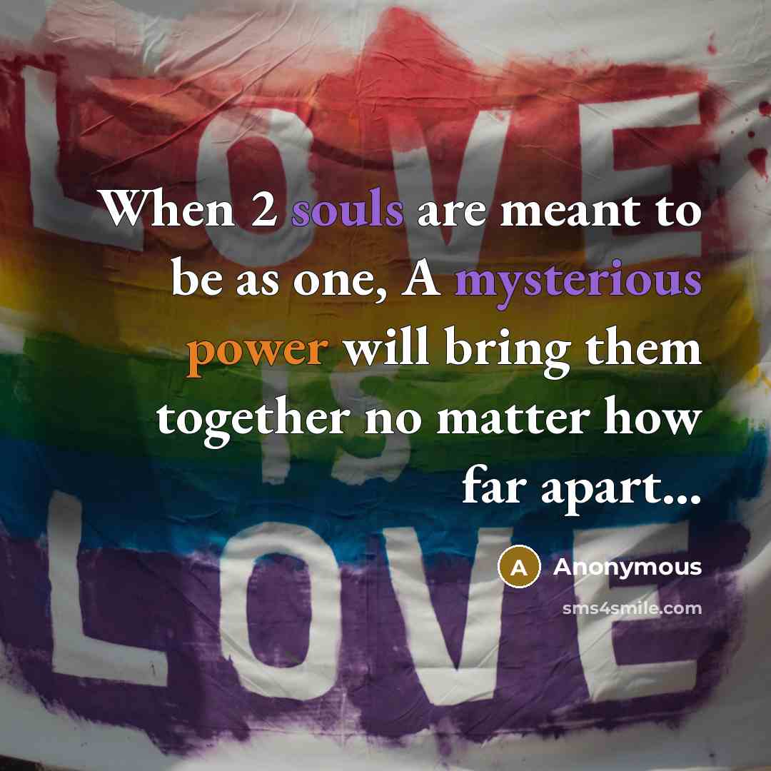“When 2 souls are meant to be as one, A mysterious power will bring them together no matter how far apart...” quote by Anonymous