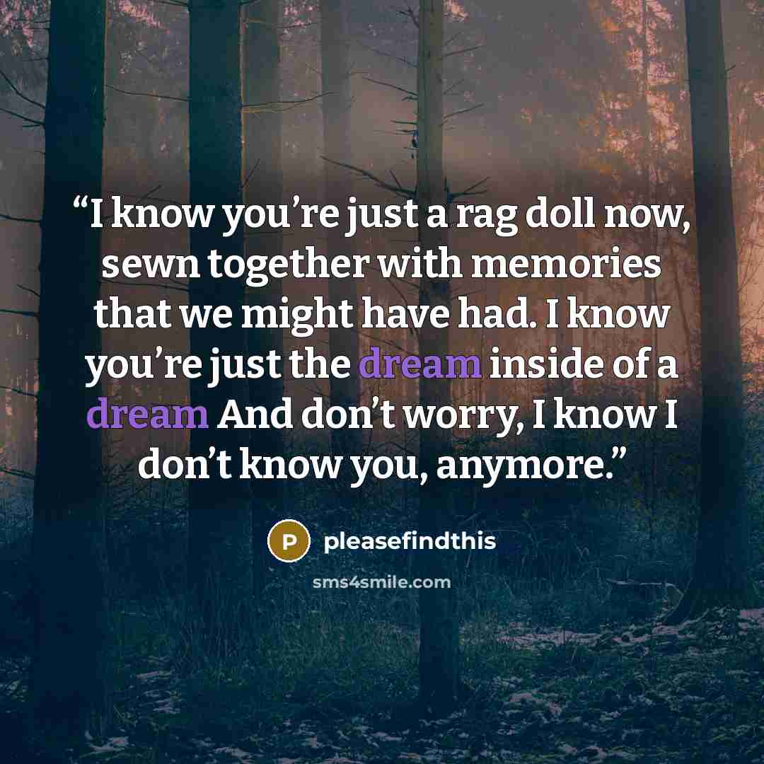 “I know you’re just a rag doll now, sewn together with memories that we might have had. I know you’re just the dream inside of a dream And don’t worry, I know I don’t know you, anymore.” quote by pleasefindthis