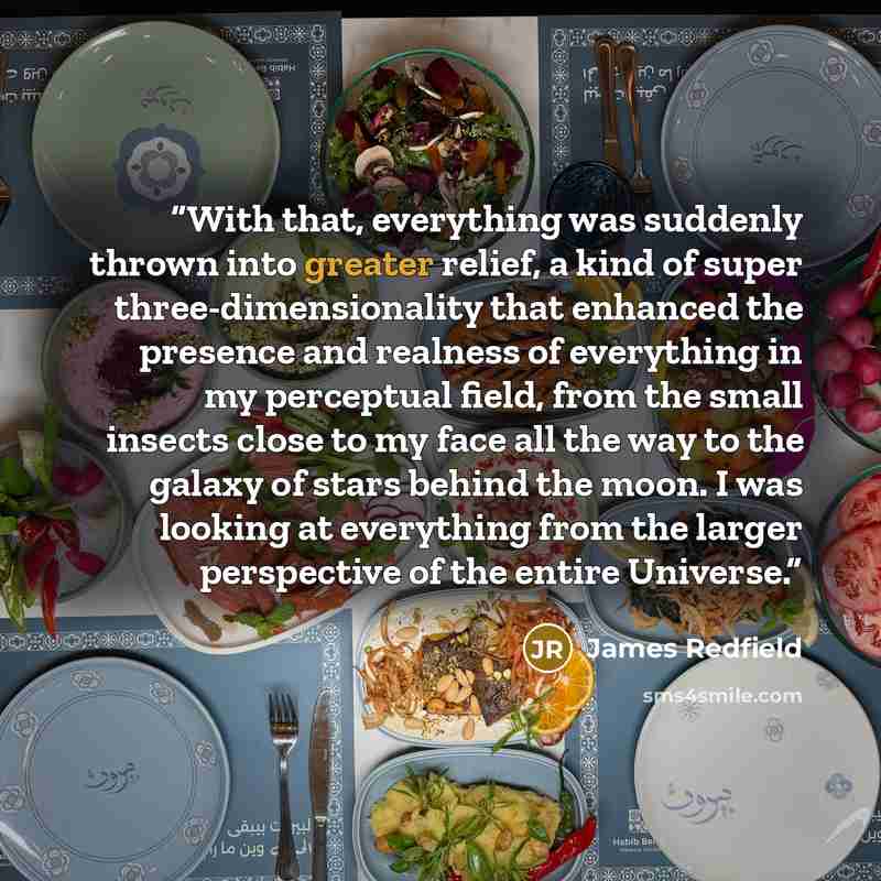 “With that, everything was suddenly thrown into greater relief, a kind of super three-dimensionality that enhanced the presence and realness of everything in my perceptual field, from the small insects close to my face all the way to the galaxy of stars behind the moon. I was looking at everything…” quote by James Redfield