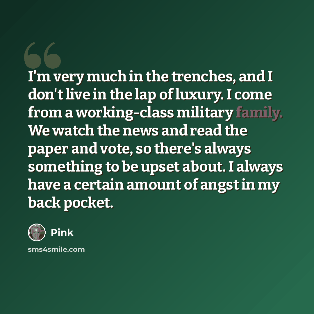 “I'm very much in the trenches, and I don't live in the lap of luxury. I come from a working-class military family. We watch the news and read the paper and vote, so there's always something to be upset about. I always have a certain amount of angst in my back pocket.” quote by Pink