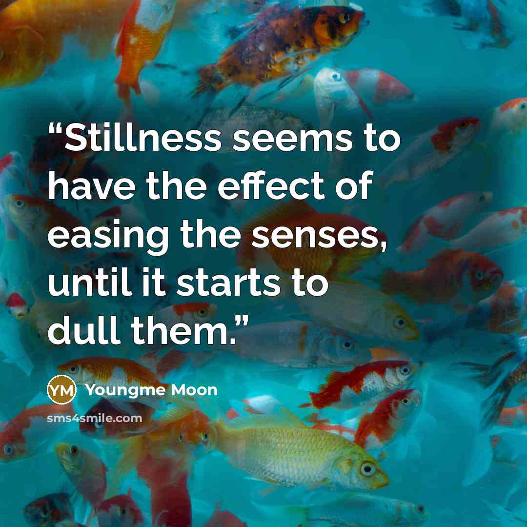 “Stillness seems to have the effect of easing the senses, until it starts to dull them.” quote by Youngme Moon