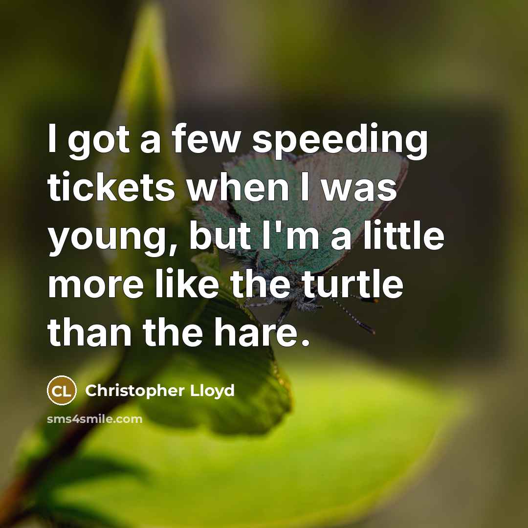 “I got a few speeding tickets when I was young, but I'm a little more like the turtle than the hare.” quote by Christopher Lloyd