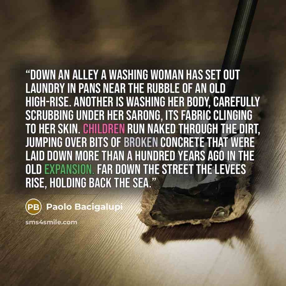 “Down an alley a washing woman has set out laundry in pans near the rubble of an old high-rise. Another is washing her body, carefully scrubbing under her sarong, its fabric clinging to her skin. Children run naked through the dirt, jumping over bits of broken concrete that were laid down more than…” quote by Paolo Bacigalupi