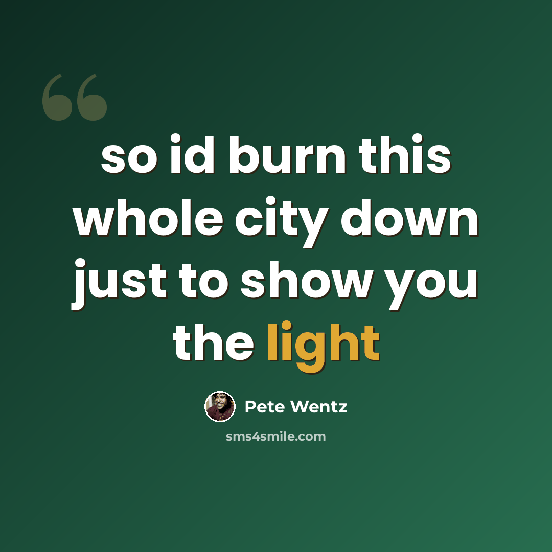 “so id burn this whole city down just to show you the light” quote by Pete Wentz