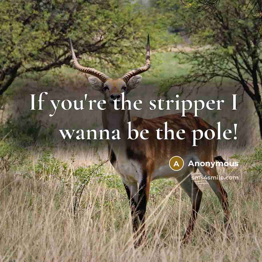 “If you're the stripper I wanna be the pole!” quote by Anonymous