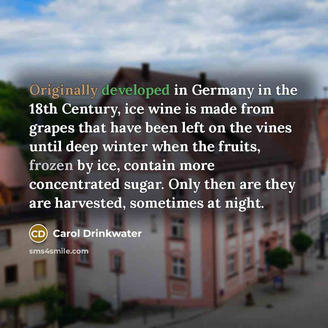 “Originally developed in Germany in the 18th Century, ice wine is made from grapes that have been left on the vines until deep winter when the fruits, frozen by ice, contain more concentrated sugar. Only then are they are harvested, sometimes at night.” quote by Carol Drinkwater