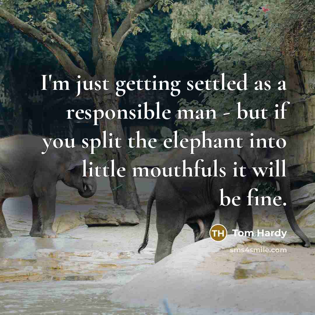 “I'm just getting settled as a responsible man - but if you split the elephant into little mouthfuls it will be fine.” quote by Tom Hardy